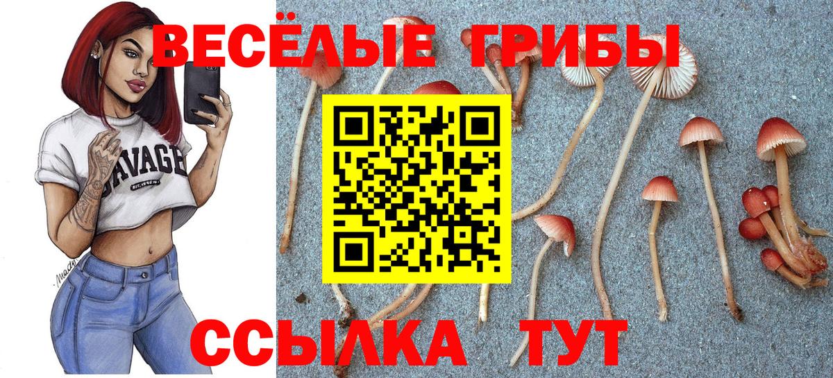 Галлюциногенные грибы GOLDEN TEACHER Кстово